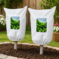White 2PCS